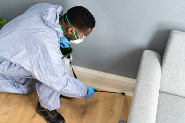 Real Estate Pest Inspections in Jerome, IL